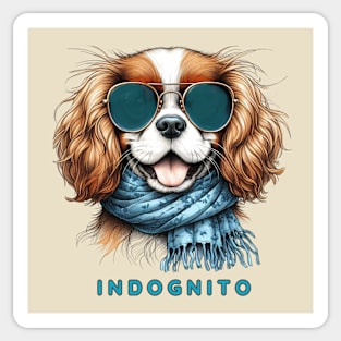 Cavalier King Charles Spaniel  - Indognito Sticker